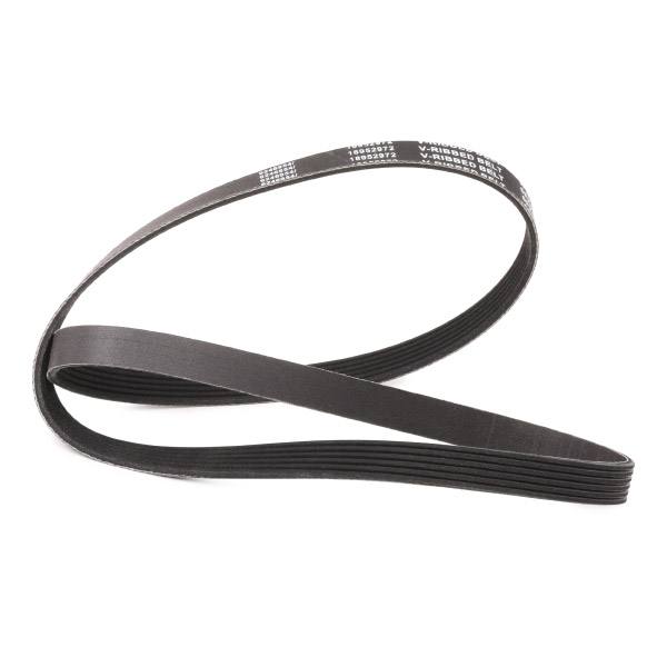 V-ribbed Belt