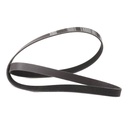 V-ribbed Belt