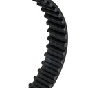 Timing Belt