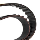 Timing Belt