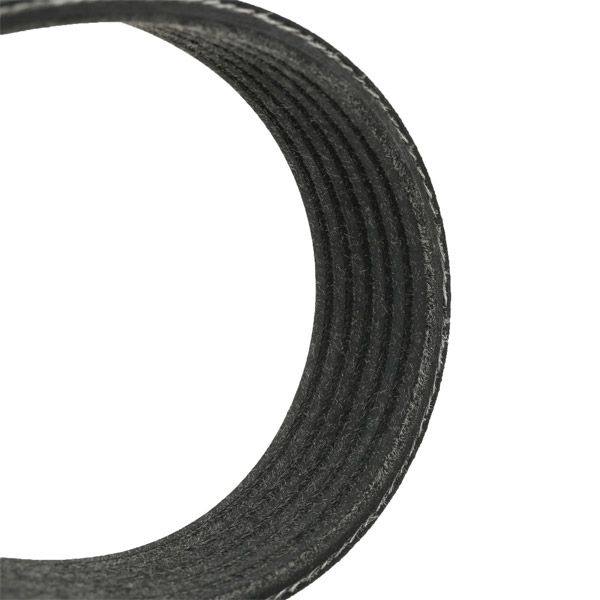 V-ribbed Belt