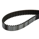 Timing Belt