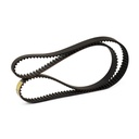 Timing Belt