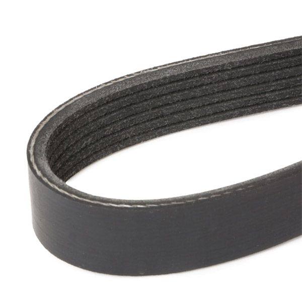 V-ribbed Belt