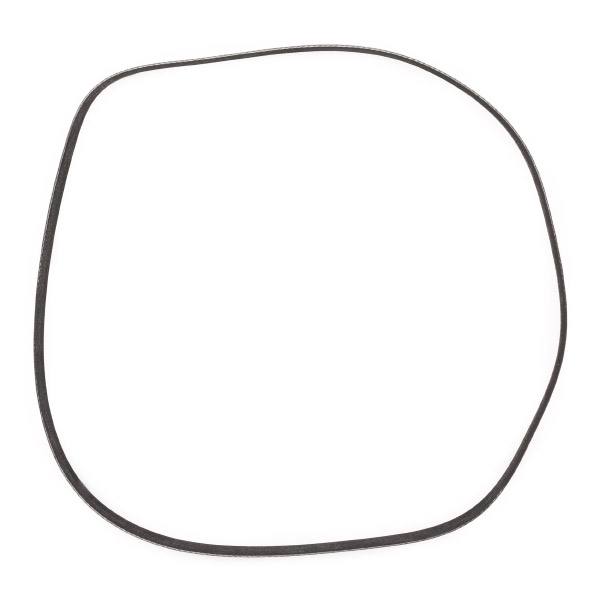 V-ribbed Belt