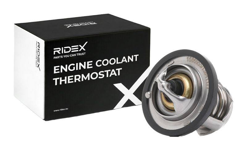 Thermostat, coolant