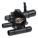 Thermostat, coolant