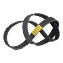 Timing Belt