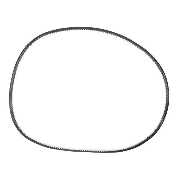 Timing Belt