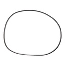 Timing Belt