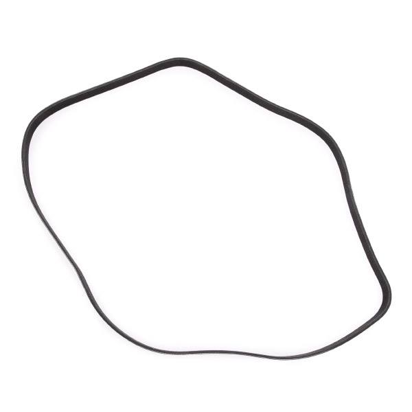 V-ribbed Belt