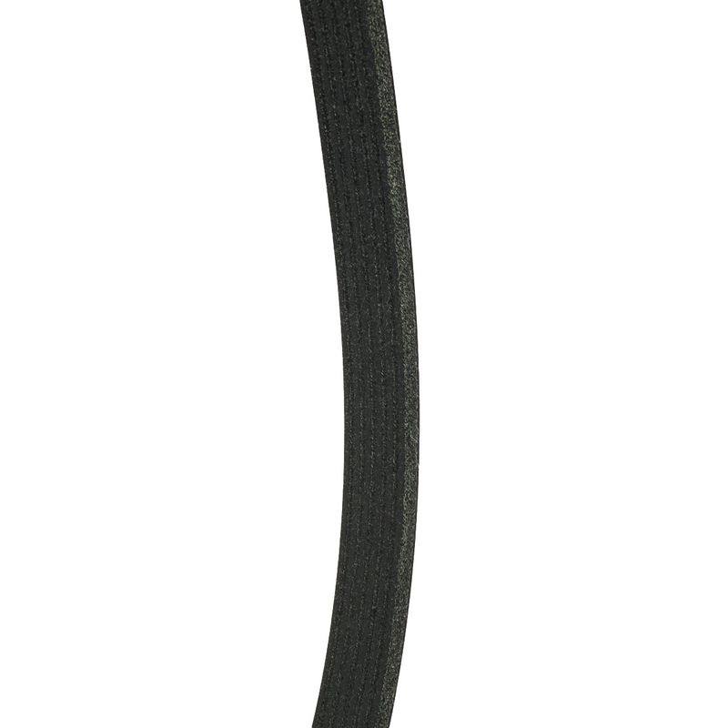 V-ribbed Belt