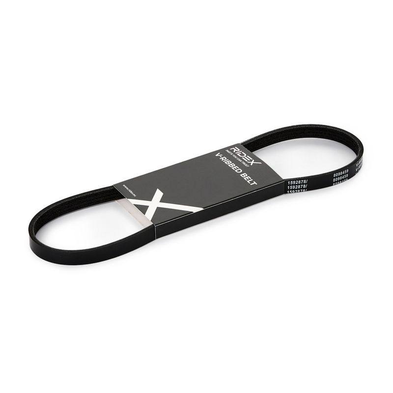 V-ribbed Belt