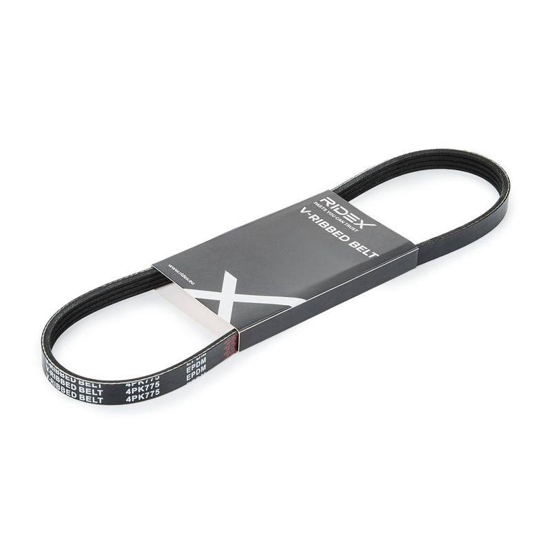 V-ribbed Belt