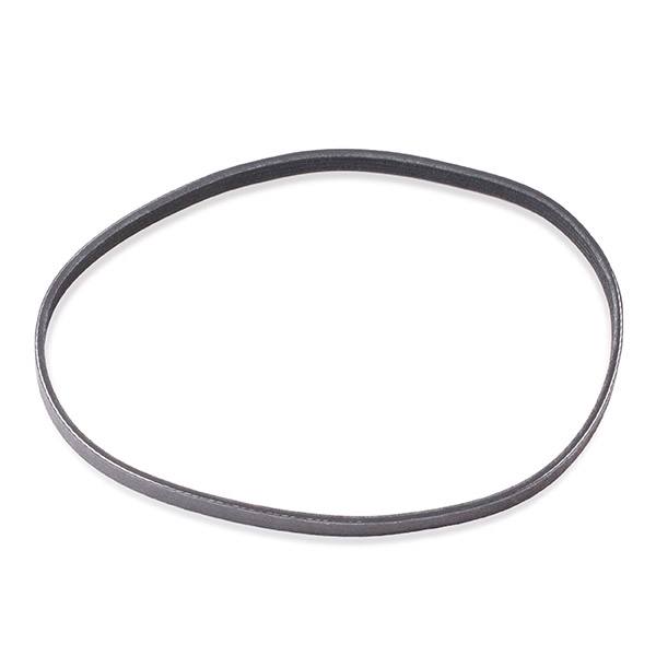V-ribbed Belt