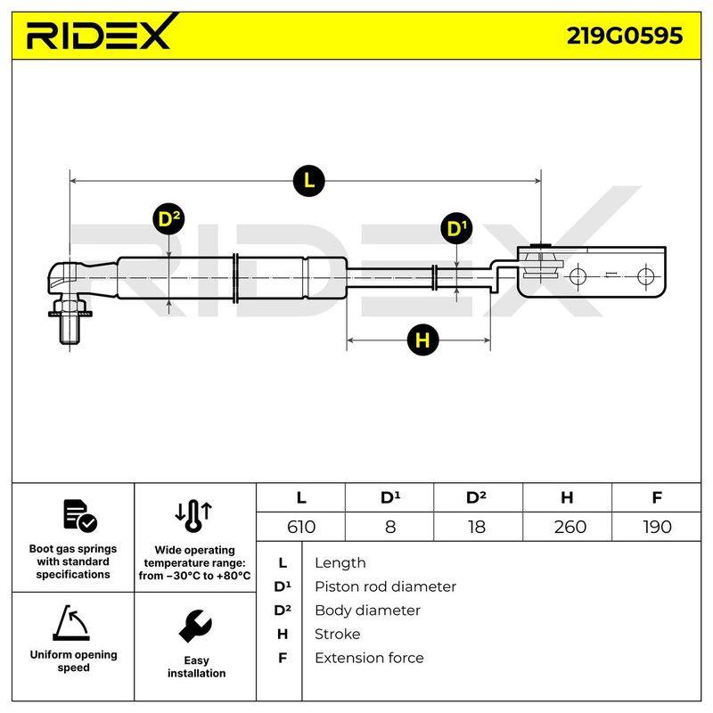 Gas Spring, boot/cargo area