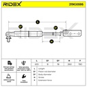 Gas Spring, boot/cargo area