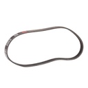 V-ribbed Belt