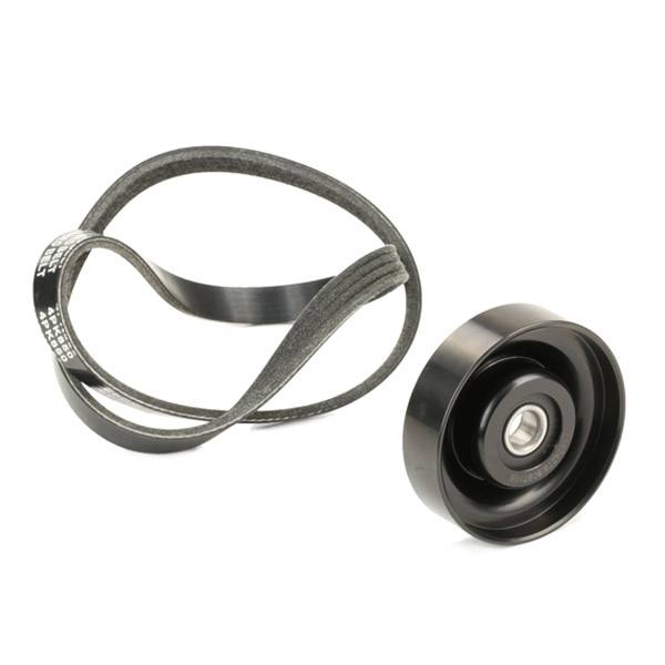 V-ribbed Belt Set