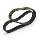 V-ribbed Belt