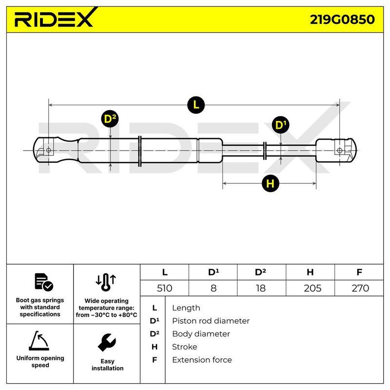 Gas Spring, boot/cargo area