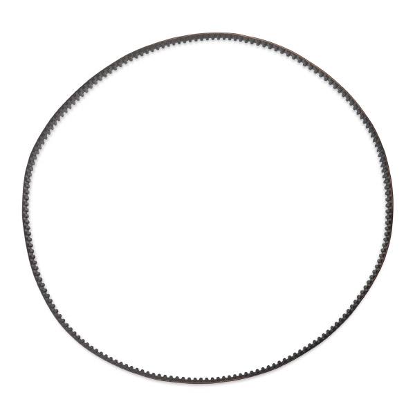 Timing Belt