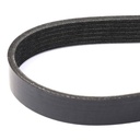 V-ribbed Belt