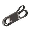 V-ribbed Belt