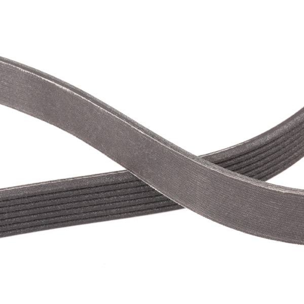 V-ribbed Belt