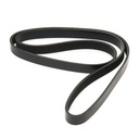 V-ribbed Belt