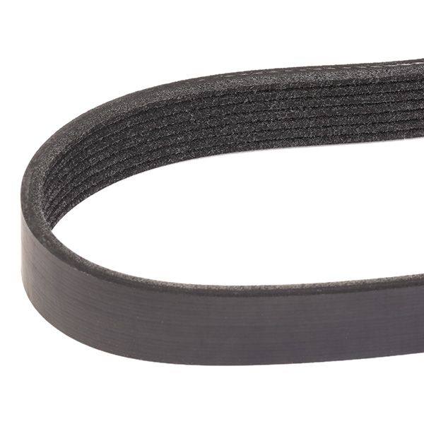 V-ribbed Belt