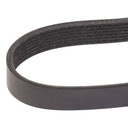 V-ribbed Belt