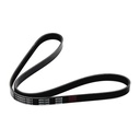 V-ribbed Belt