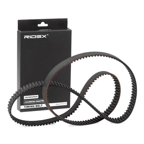 Timing Belt
