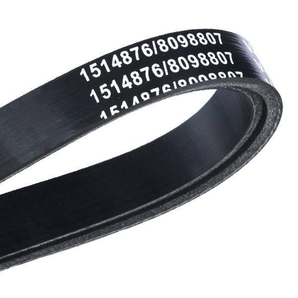 V-ribbed Belt