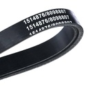 V-ribbed Belt