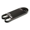 V-ribbed Belt