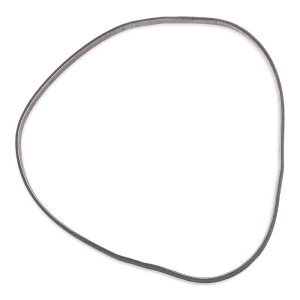 V-ribbed Belt