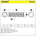 Suspension Spring