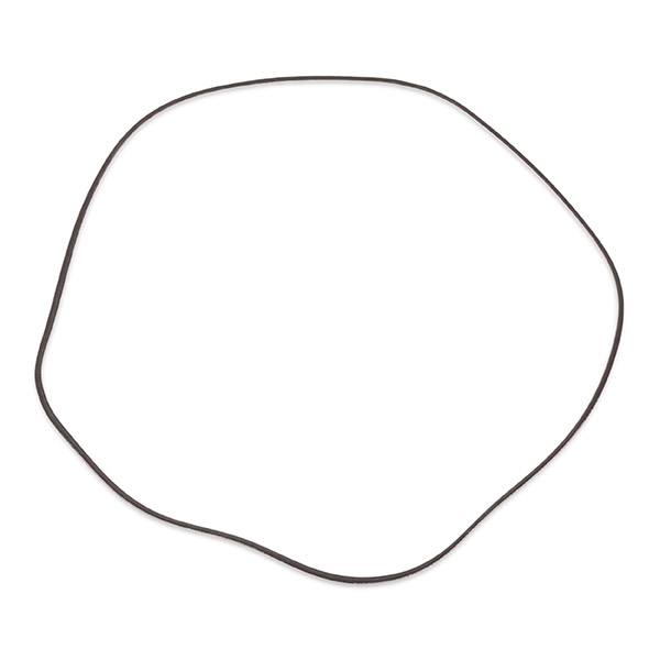 V-ribbed Belt