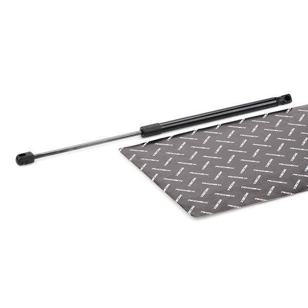 Gas Spring, boot/cargo area