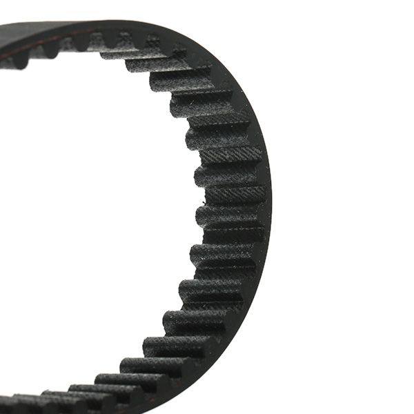 Timing Belt