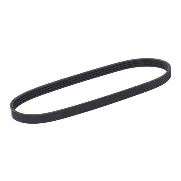 V-ribbed Belt
