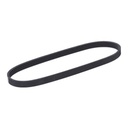 V-ribbed Belt