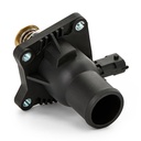 Thermostat, coolant