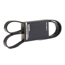 V-ribbed Belt