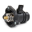 Thermostat, coolant