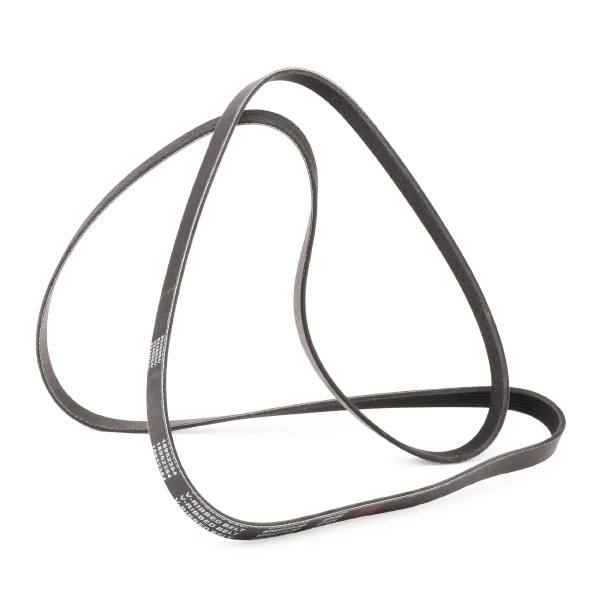 V-ribbed Belt