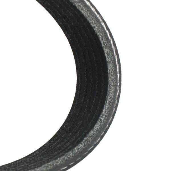 V-ribbed Belt