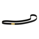 Timing Belt